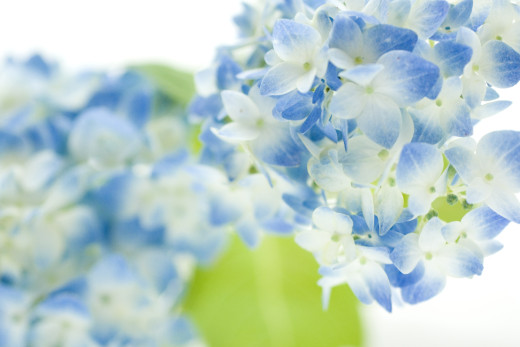 635592 (a): :2400x1600